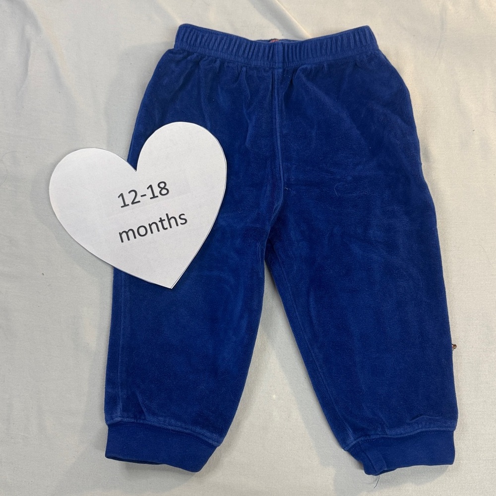 Disney - Blue Velour Joggers Elastic Cuffs Sweatpants w/ Tigger design